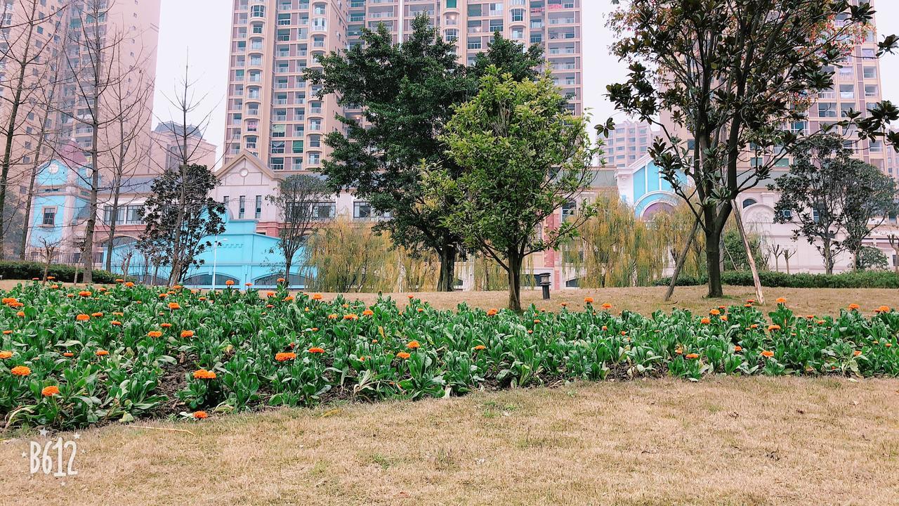 Emei Mountain Xileer Hotel Emeishan Dış mekan fotoğraf